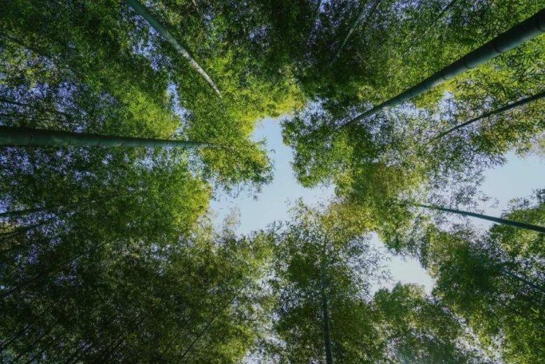 教育孩子是让他无忧无虑好还是早明白道理?-专业有问必答平台